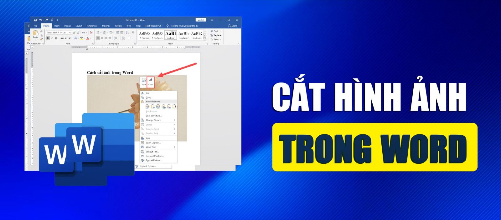 Cách cắt ảnh trong Word